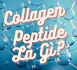 Collagen peptide là gì? Loại nào giúp cho chị em làm đẹp 
