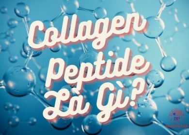 Collagen peptide là gì? Loại nào giúp cho chị em làm đẹp 